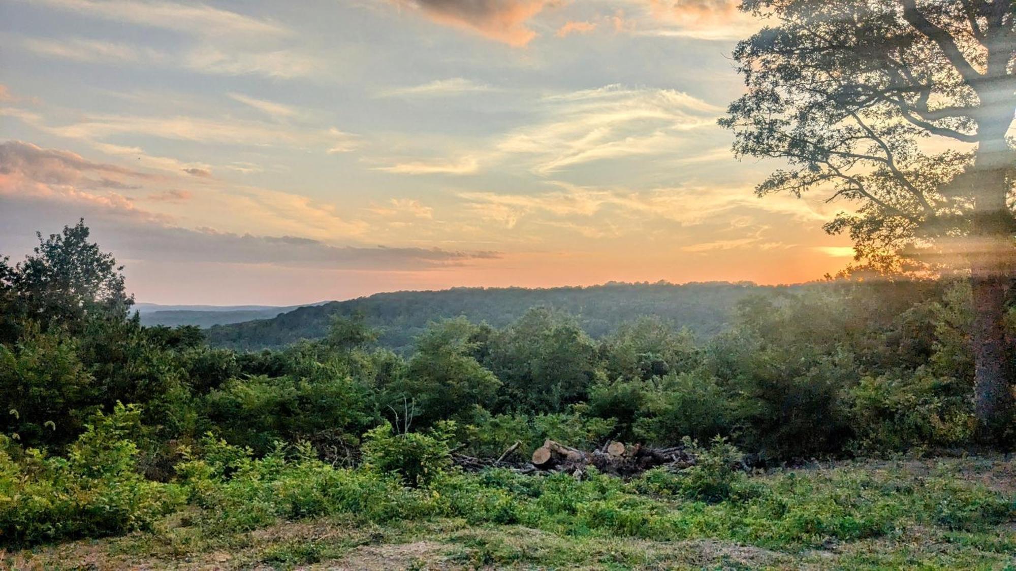 فندق Bigfoot Hideout Winslow المظهر الخارجي الصورة